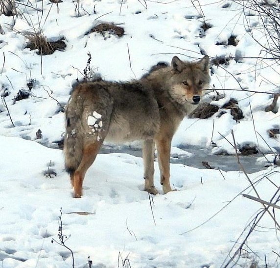 Sali Maris (@salimariis) on Twitter photo 