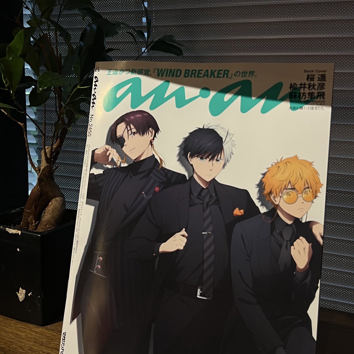◤ 𝗠𝗘𝗗𝗜𝗔 ◢|| anan 2450号は #ウィンブレ がバックカバー👊💥 桜