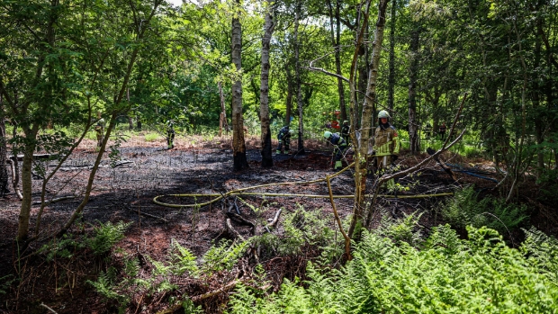 Risico op natuurbrand weer afgeschaald -  grootheerenveen.nl/l/112828