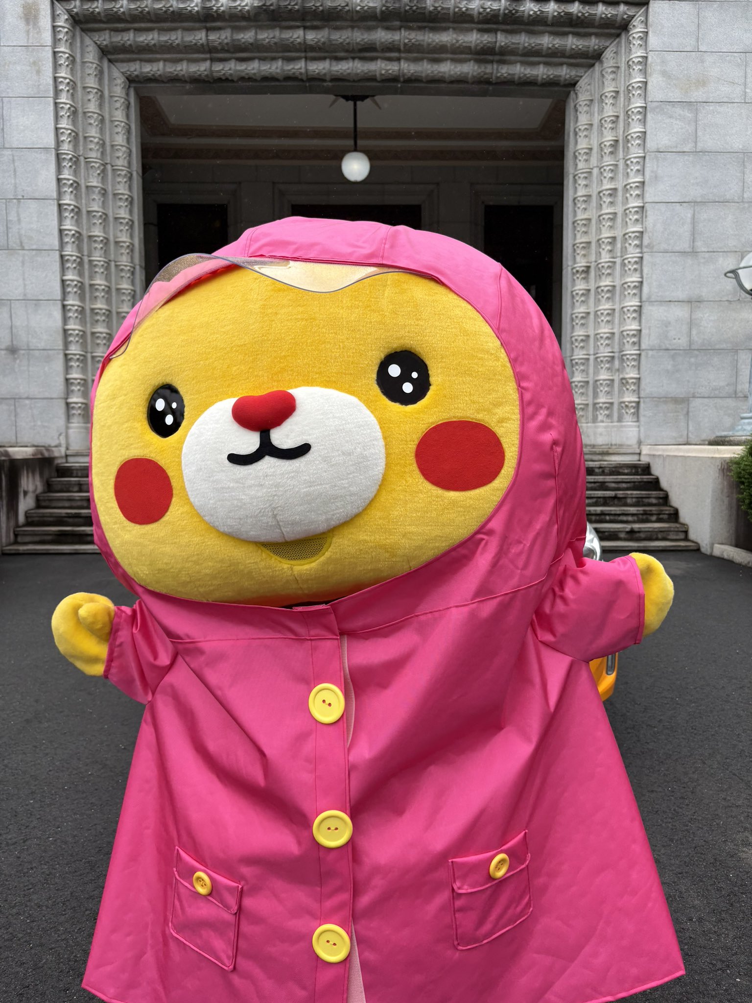 みきゃん様 みきゃん【公式】《愛媛県イメージアップキャラクター