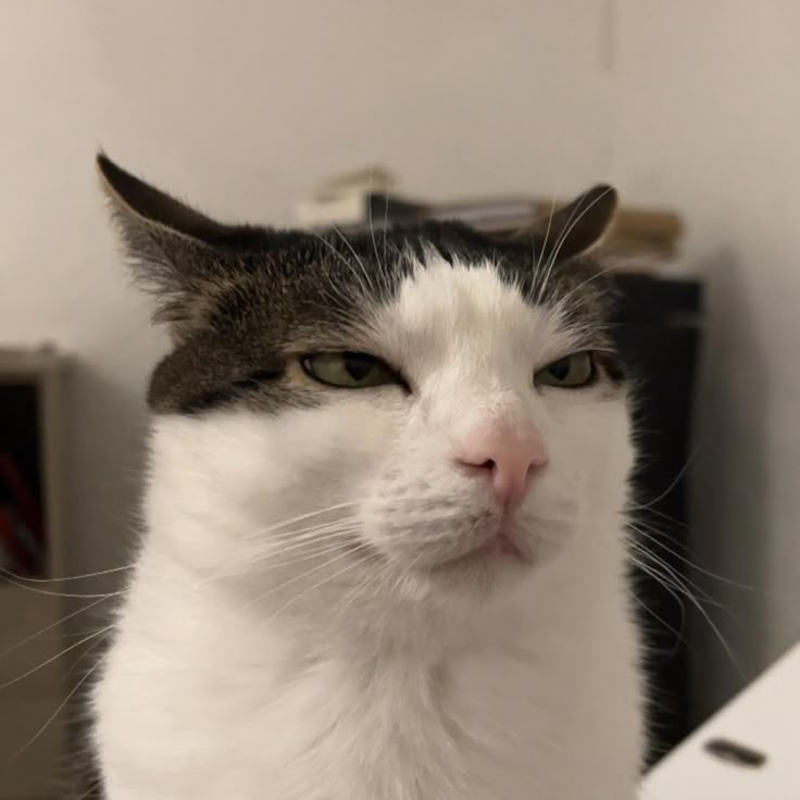 Serious face of judgment 🥲🥲

Revamp Series Q11
#RevampSeries 
#BounPrem #bb0un