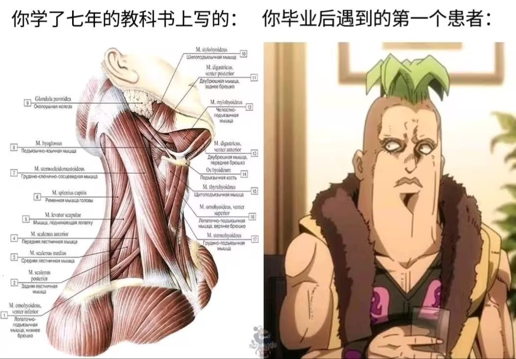 hsn (@hsn8086) on Twitter photo 