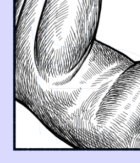 次の話のペン入れに取り掛かっています
かわいいものは細かく描けの法則です 