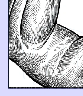 次の話のペン入れに取り掛かっています
かわいいものは細かく描けの法則です 