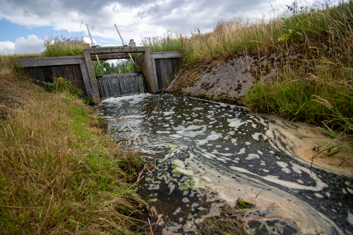 De afgelopen dagen viel er gemiddeld 40 millimeter #regen in ons werkgebied. Het effect zien we meteen: de grondwaterstanden zijn gestegen, het aantal beregeningsaanvragen daalt en er is minder wateraanvoer nodig, maar de droogte is niet voorbij. 👉 wdodelta.nl/droogteblog