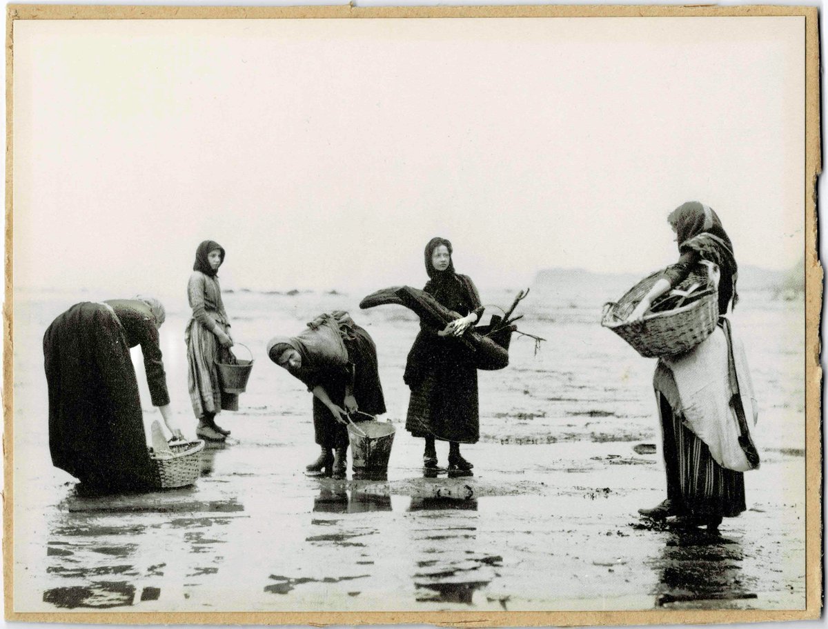 darklake99's tweet image. Gathering driftwood was one of the many arduous tasks carried out by fisher-women of the North Yorkshire coast during the 19th Century. This photo was taken on Whitby Scaur, a beach composed of solid bedrock. Shipwrecks were commonplace on this coast and provided much of the wood…