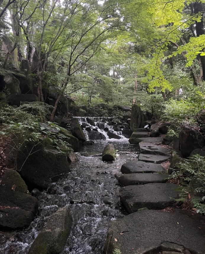 小さな滝と川の音に包まれて
心をゼロに戻したら——
次はジムで汗かいて、前に進むだけ