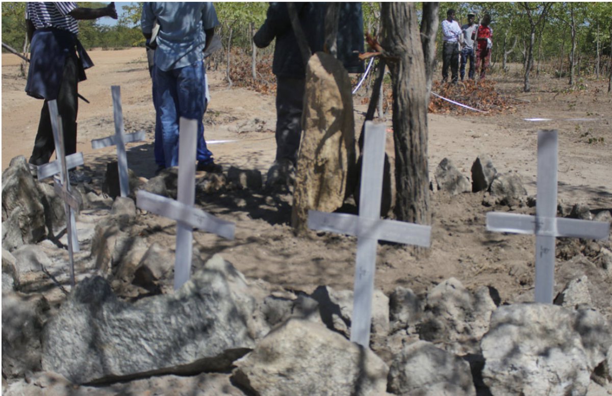 The long-awaited Gukurahundi Community Outreach Programme, which was scheduled to start on June 16 has been further postponed due to a lack of resources.

President of the National Council of Chiefs, Chief Mtshane Khumalo, confirmed that the hearings will not commence on June 16