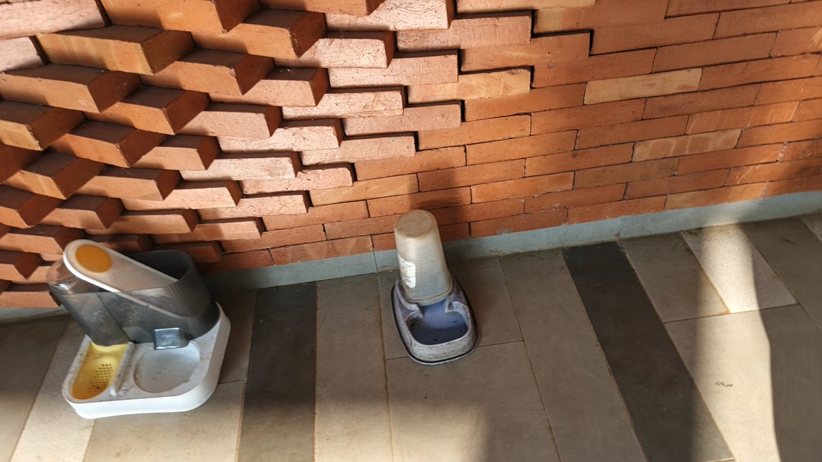 UI Peduli Hewan tweet media