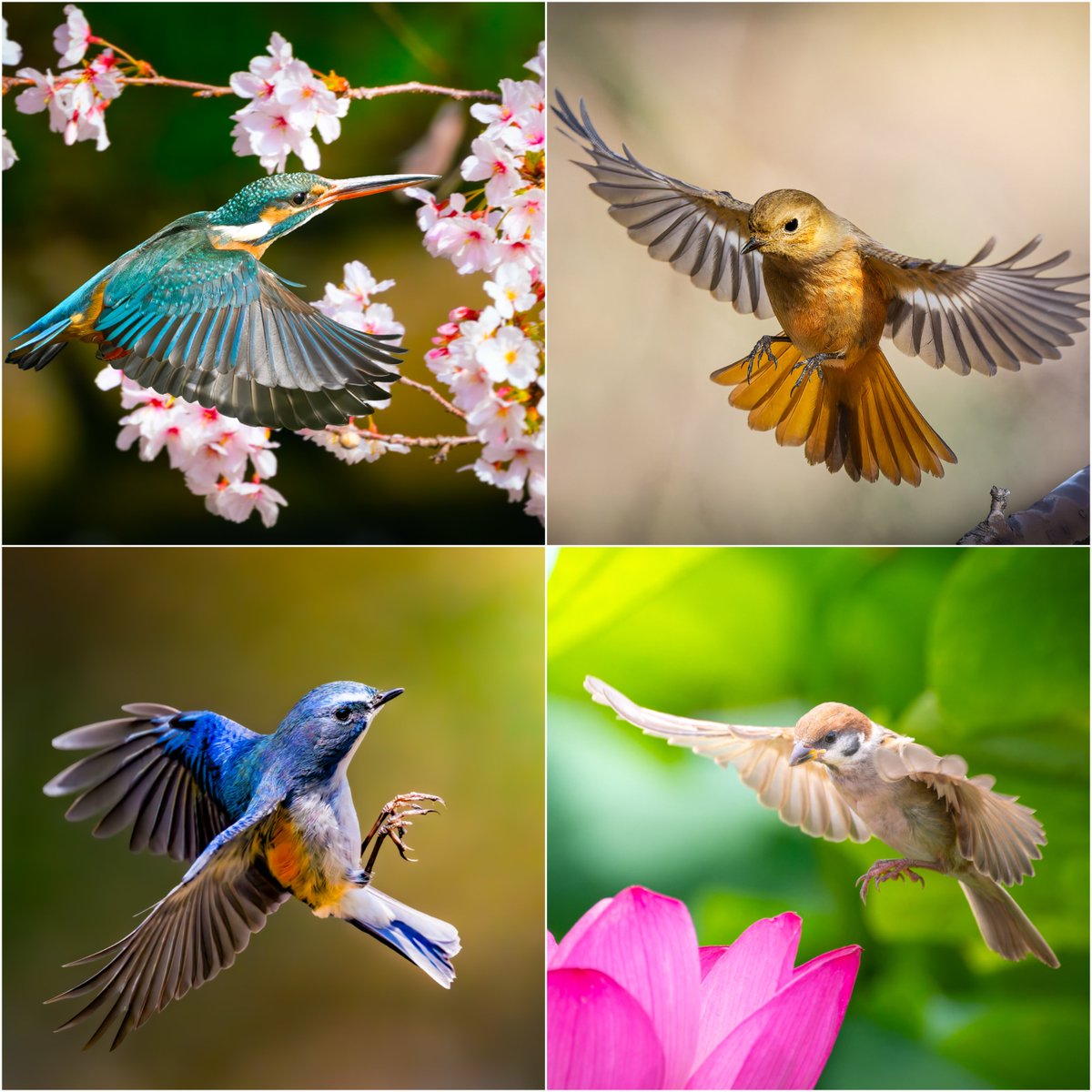 KayのPhotoBook tweet media