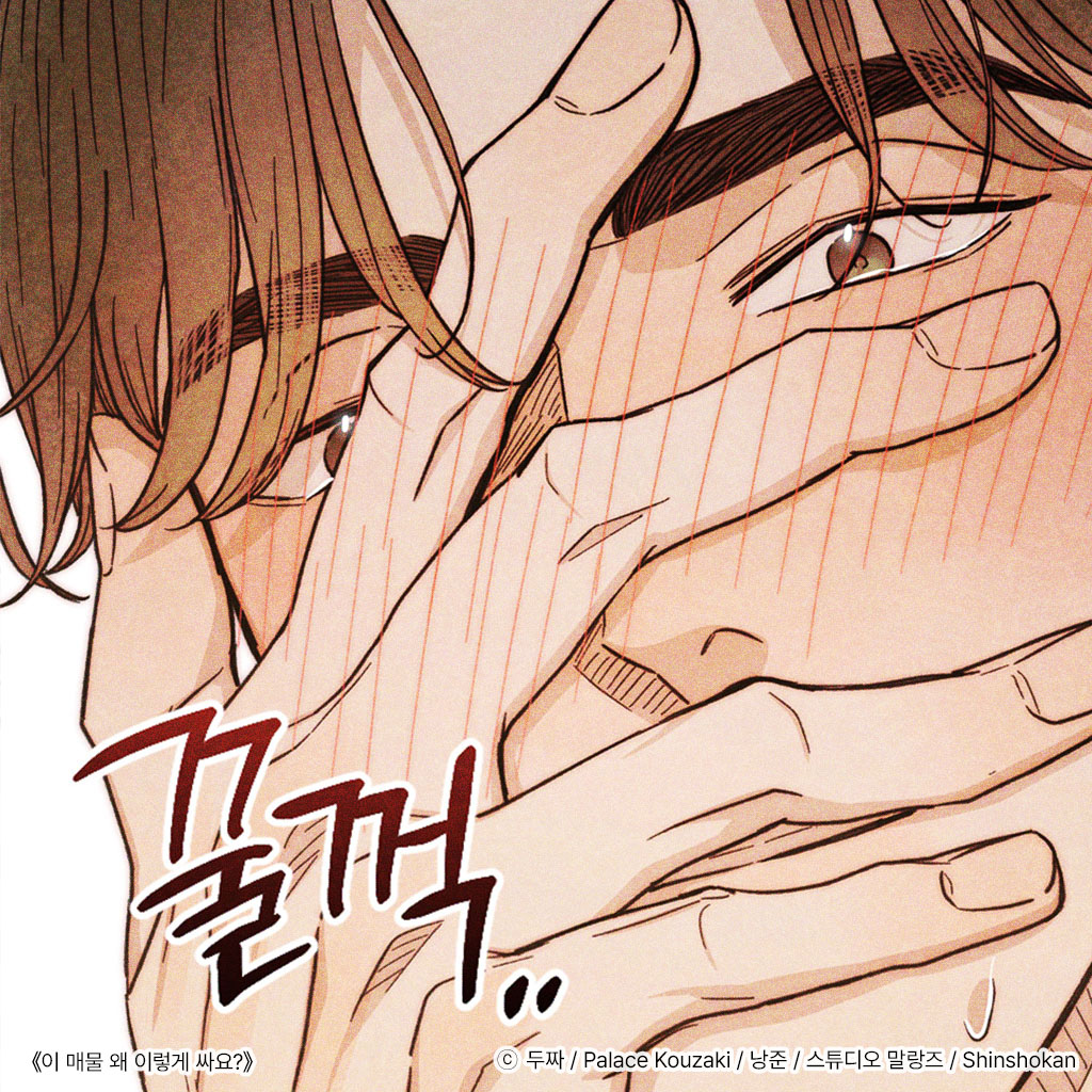 malangdan_dan's tweet image. "은성아. 너 진짜 이러면…
나도… 참기 힘들어."
&lt;이 매물 왜 이렇게 싸요?&gt; 14화 업데이트 되었습니다!
#이매물왜이렇게싸요 #이매물 #1LDK
🔗bomtoon.com/detail/whysoch…