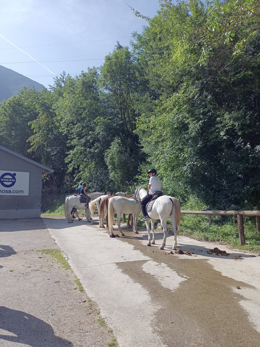 Comencem la jornada en plena natura i passejant amb cavalls. Quina passada!
