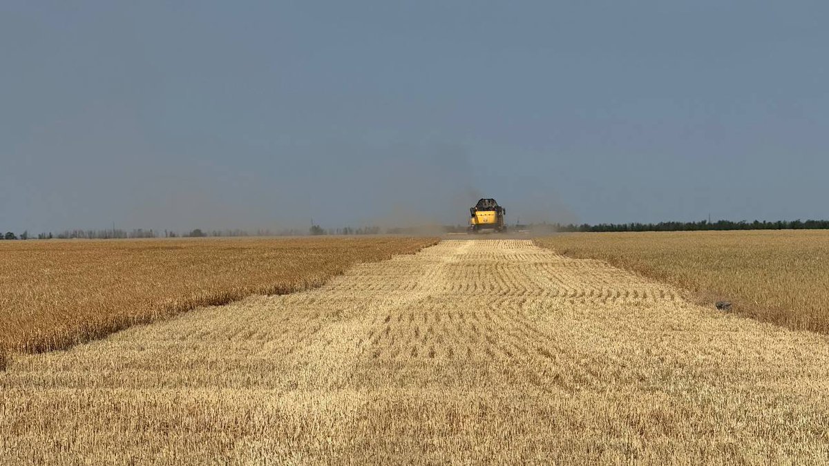 🌾 Ukraine Kicks Off Barley Harvest — ASAP Agri

As part of our ongoing wheat crop tour this week, ASAP Agri has recorded the first barley harvests beginning in Mykolaiv oblast — notably in areas most affected by spring frost and drought.

📉 Early yields of 1-1.5 MT/HA are