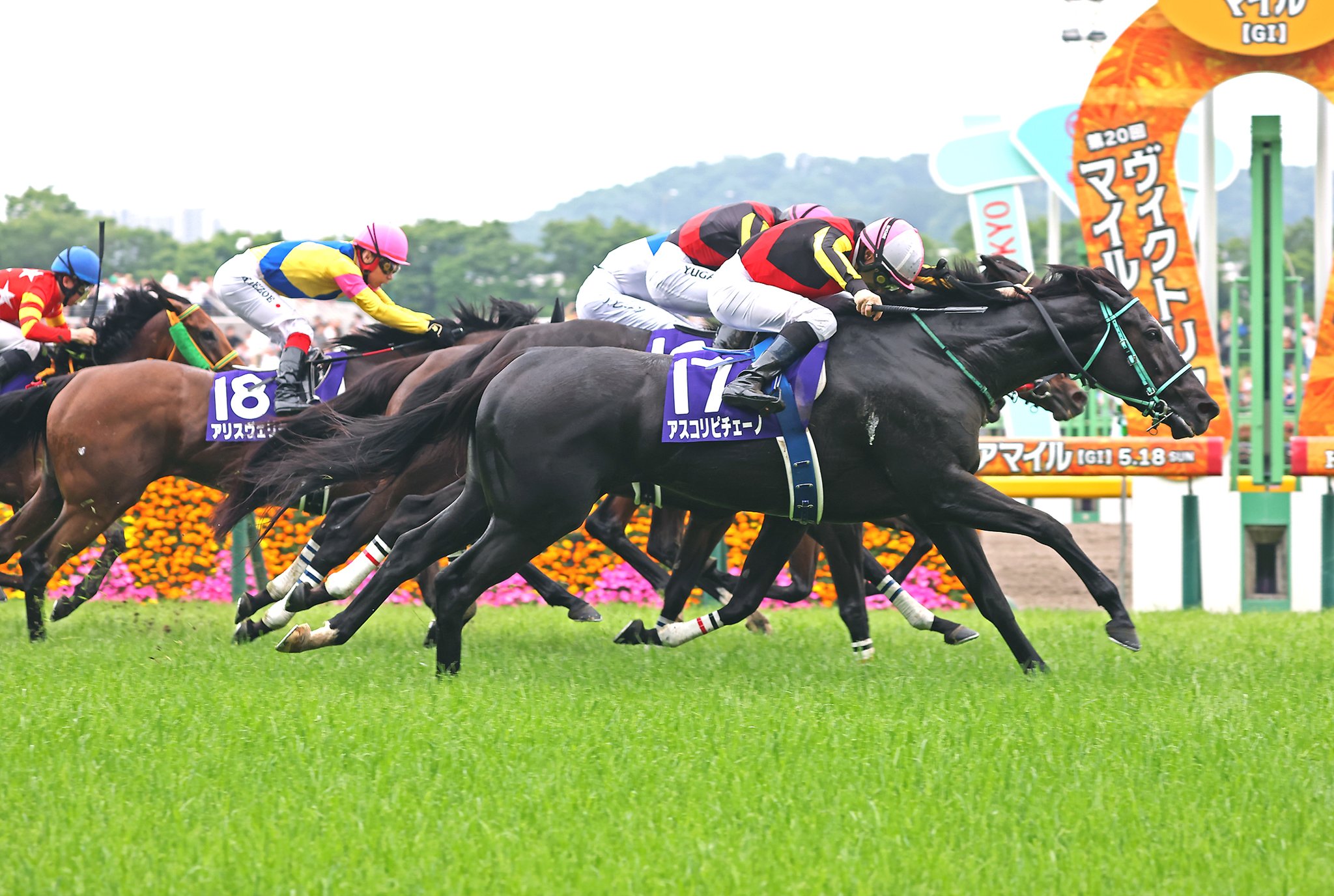 France Galop on X: 