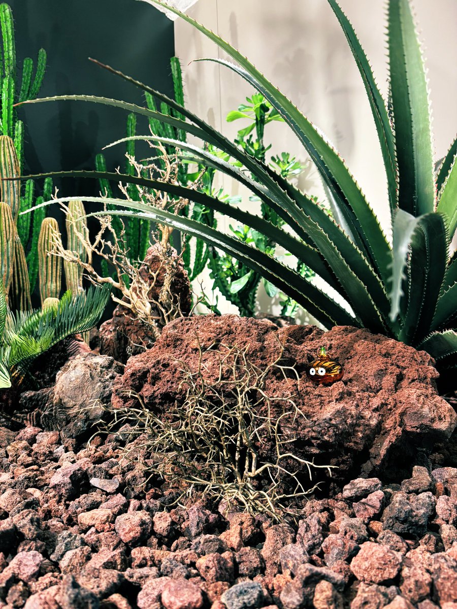 スクエニ新社屋に打ち合わせに行ってきました！楽しすぎ！私もここで原稿したい😭　チェリまほの打ち合わせもしましてXで更新再開出来るよう調整中です。もうちょっとお待ち下さい🏃