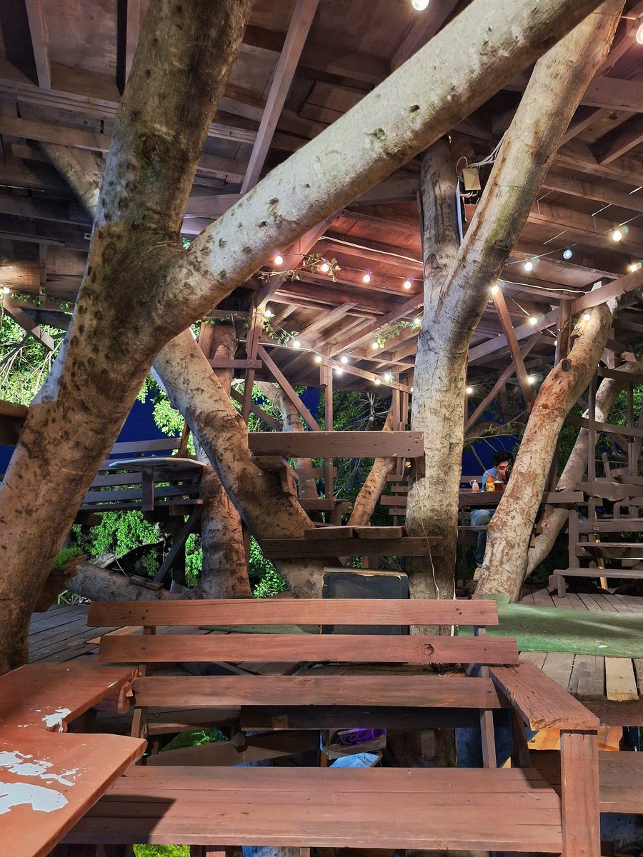 La casa del 🌳 💫💛