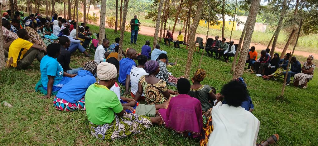 SAFE NGO tweet media