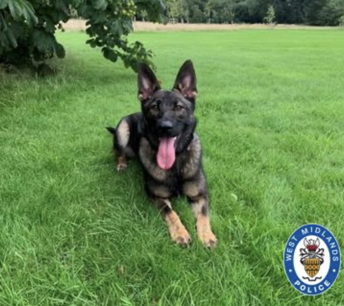 ESN Report tweet media