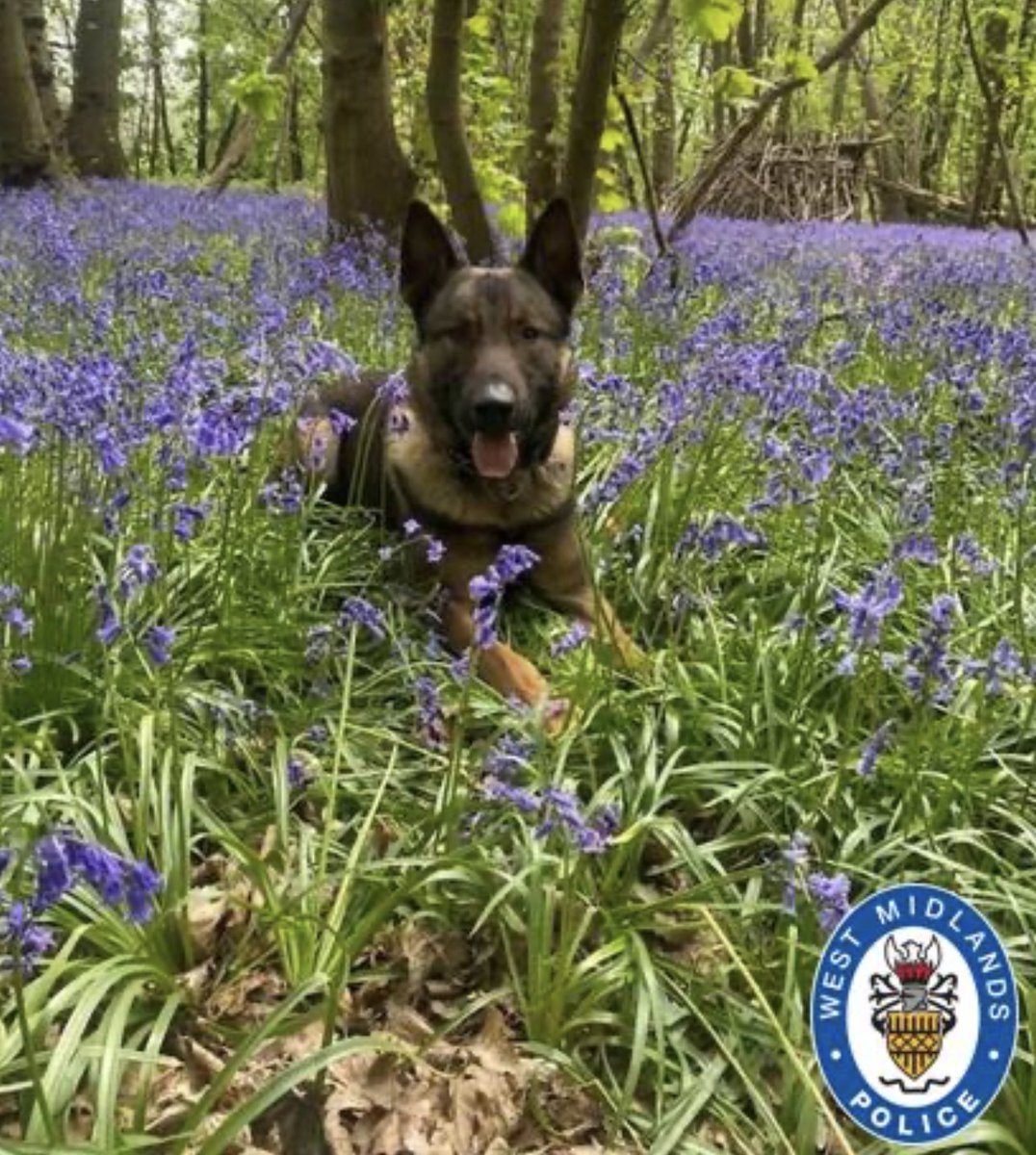 ESN Report tweet media