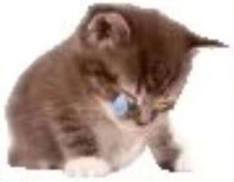 轻松狮丨Relax_Lion tweet media