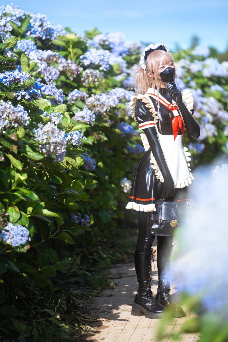 ラバーメイドの通学路、
あじさいめっちゃ咲いてた！