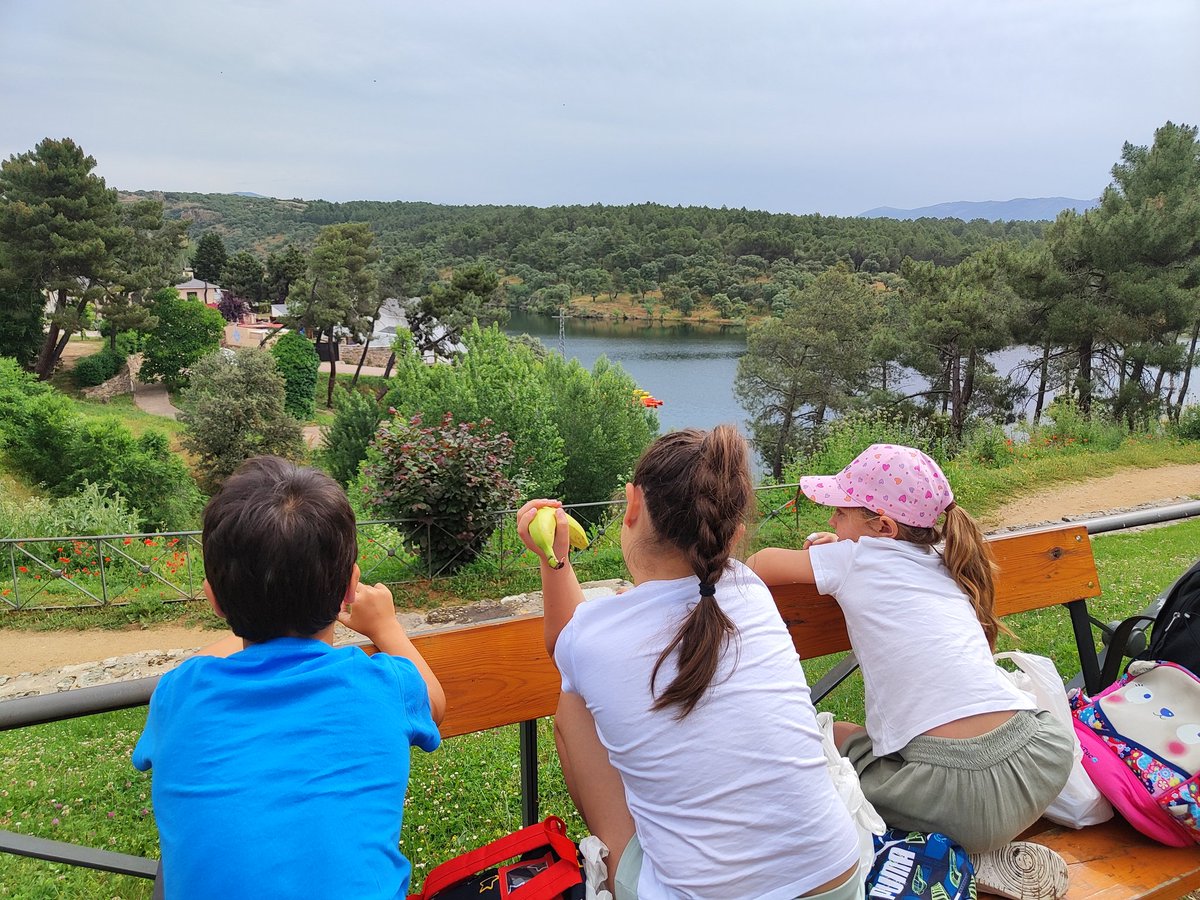 @teacherCastilloHBST tweet media