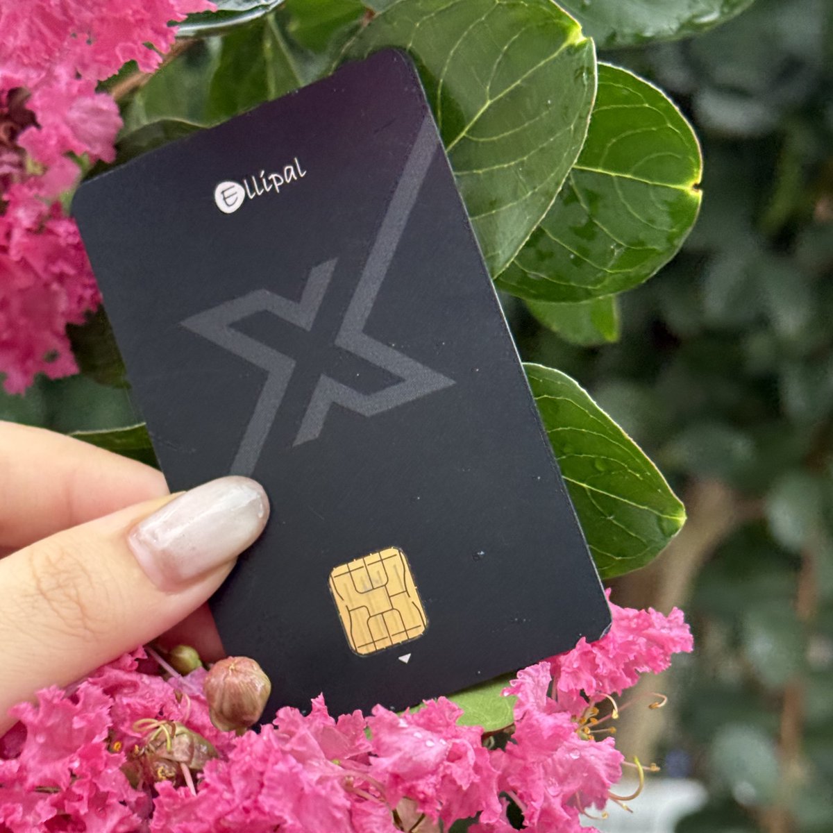 ELLIPAL's tweet photo. beauty 🌸
but make it self-custody 🔐
#ELLIPAL #XCardWallet #SelfCustody #ColdWallet https://t.co/sGpZKiVAS7