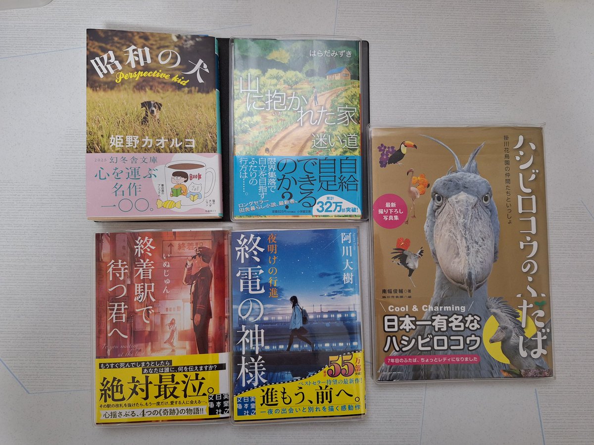 太陽'8１　臨時増刊 　特集決定版 犬歳年賀状図案1001集　希少昭和本 2025年最新】Yahoo!オークション -年賀状 犬の中古品・新品・未
