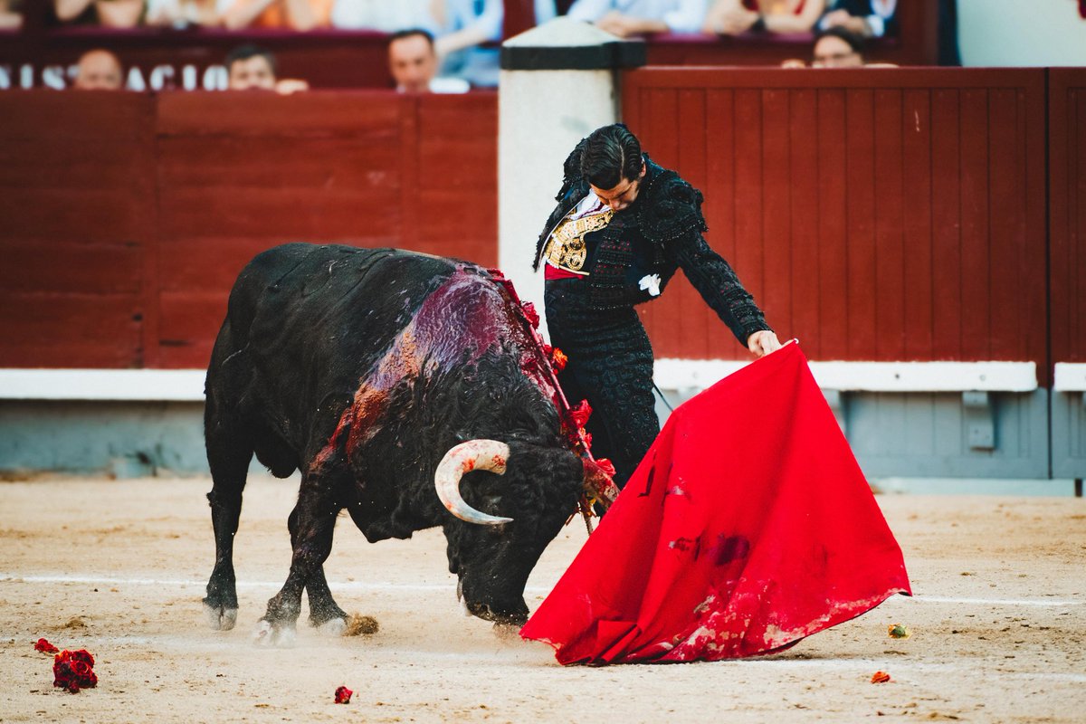 Morante &amp; Juan Pedro. Antología en Las Ventas. 

#ElPrivilegiodelCampoBravo