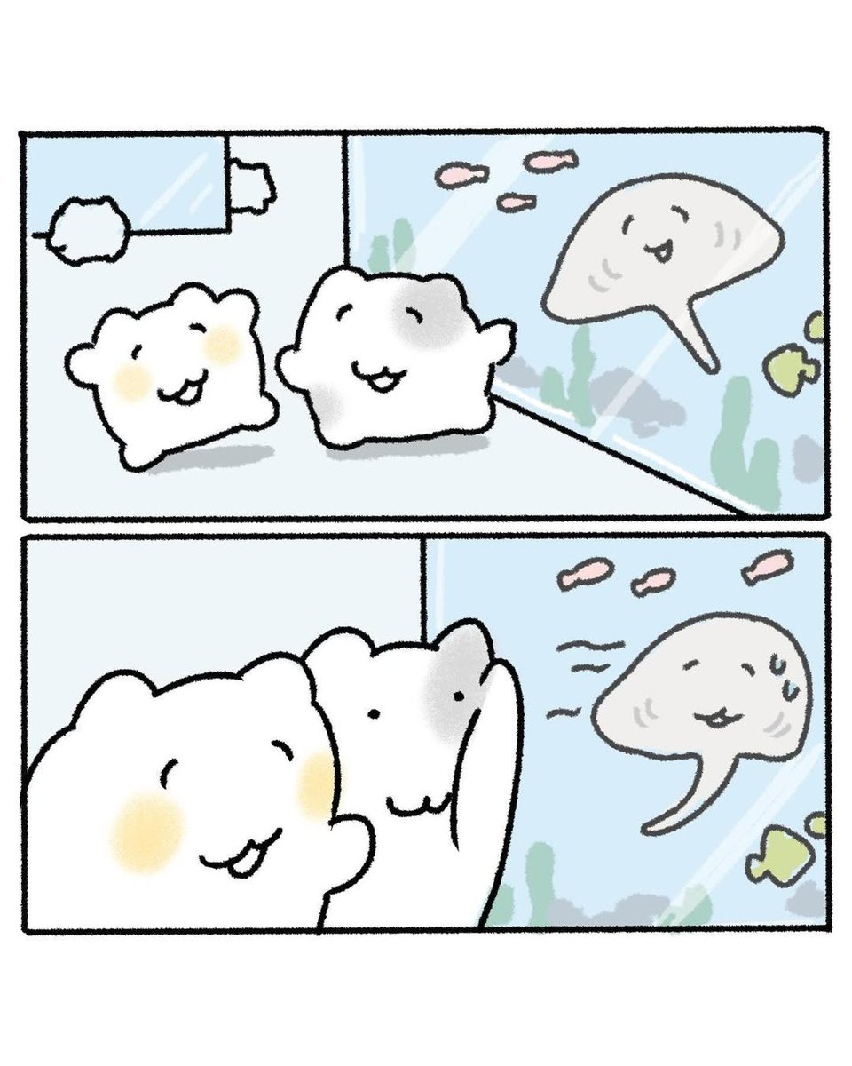 nyanmon_jp's tweet photo. 雨の日は室内デート！🐟🐠 https://t.co/P0Q3rgN0kr