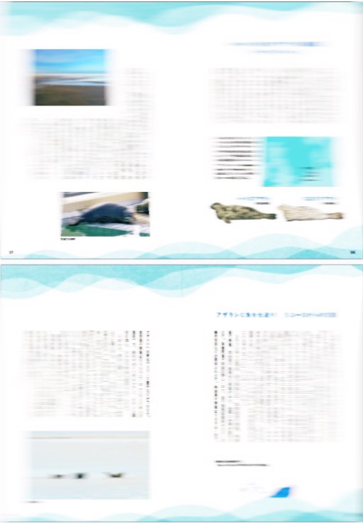 Seallover_Emily's tweet image. 【お知らせ】
こちらの本「アザラシBOOK」にインタビューを載せていただきました!
この本は国内水族館のアザラシメインですがオランダの #アザラシ幼稚園 について体験したことを訪問者目線で
僭越ながらお話しさせていただきました!
どのページにあるか探してみてね
amzn.asia/d/hrS8ihg