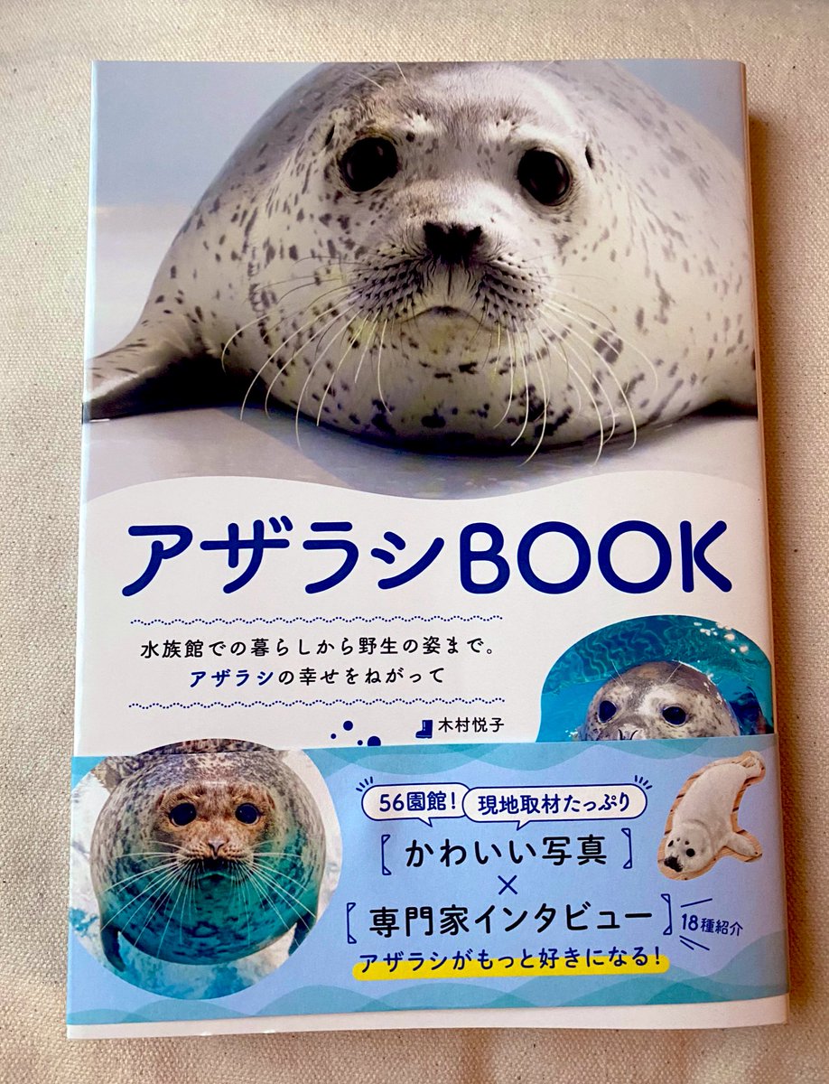Seallover_Emily's tweet image. 【お知らせ】
こちらの本「アザラシBOOK」にインタビューを載せていただきました!
この本は国内水族館のアザラシメインですがオランダの #アザラシ幼稚園 について体験したことを訪問者目線で
僭越ながらお話しさせていただきました!
どのページにあるか探してみてね
amzn.asia/d/hrS8ihg