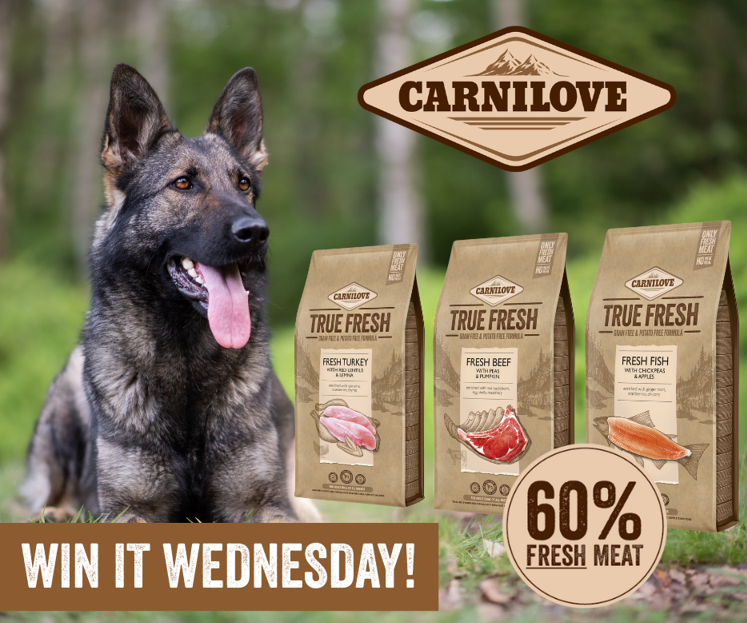 Dogs_Today's tweet photo. This #WinItWednesday, we teamed up with https://t.co/1vRCuOuDAL to give away a bag of Carnilove True Fresh dry dog food to 3 lucky winners! Made with fresh meat ingredients sourced from local farms, it comes from animals approved for human consumption. Follow us and RT to #win! https://t.co/a52o1CU8Rw