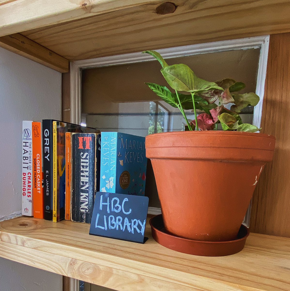 Harare Book Club’s Community Library is now open for membership 🤩!

📚 $7 for 6 months, with $5 refundable at end of period

Membership signup form:
forms.gle/5m1CvL8JsFsyZv… 

More info:
hararebookclub.com/library