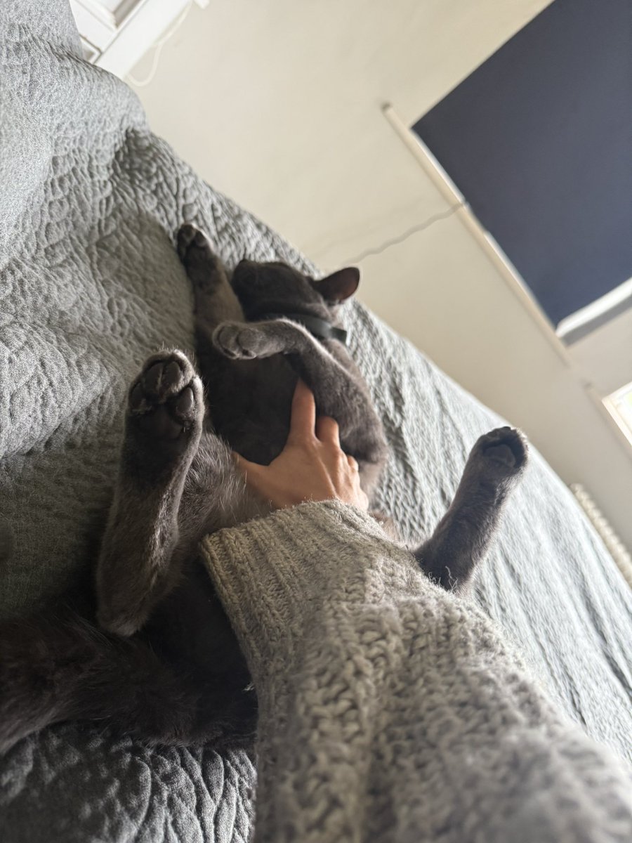 milf_gaard's tweet photo. Meow https://t.co/KHUBJCDQY6