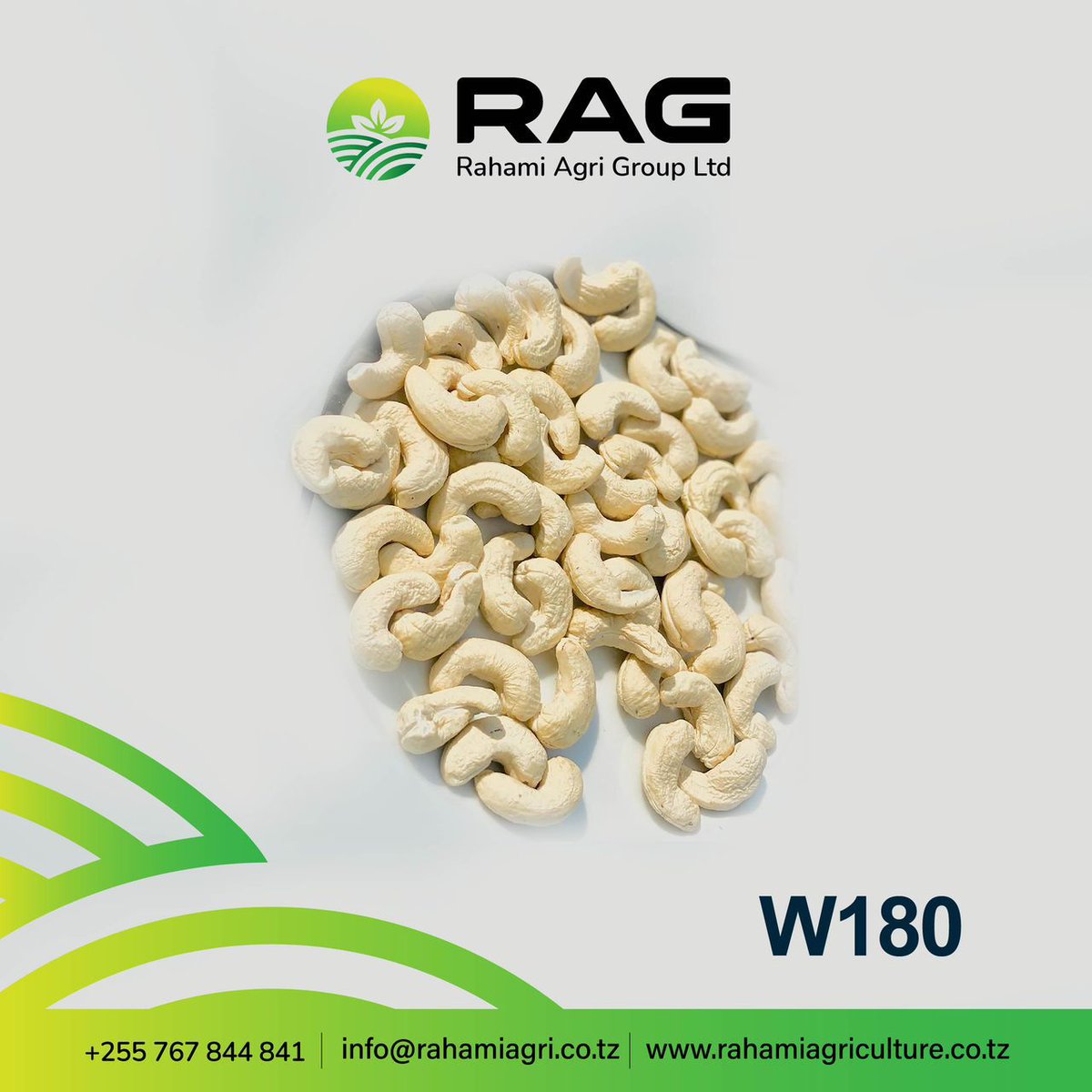 rahamiagri100's tweet photo. 🌰 Cashews = Heart health + Strong bones + Energy boost!

Our W180 premium cashews are packed with:
💚 Good fats
💪 Magnesium
🍊  Vit C &amp; iron!

Grown in 🇹🇿. Empowering women. Delivered globally.

#Cashews #HealthyLiving #W180 #TanzaniaAgri #WomenInAg https://t.co/crY9bO2CuJ