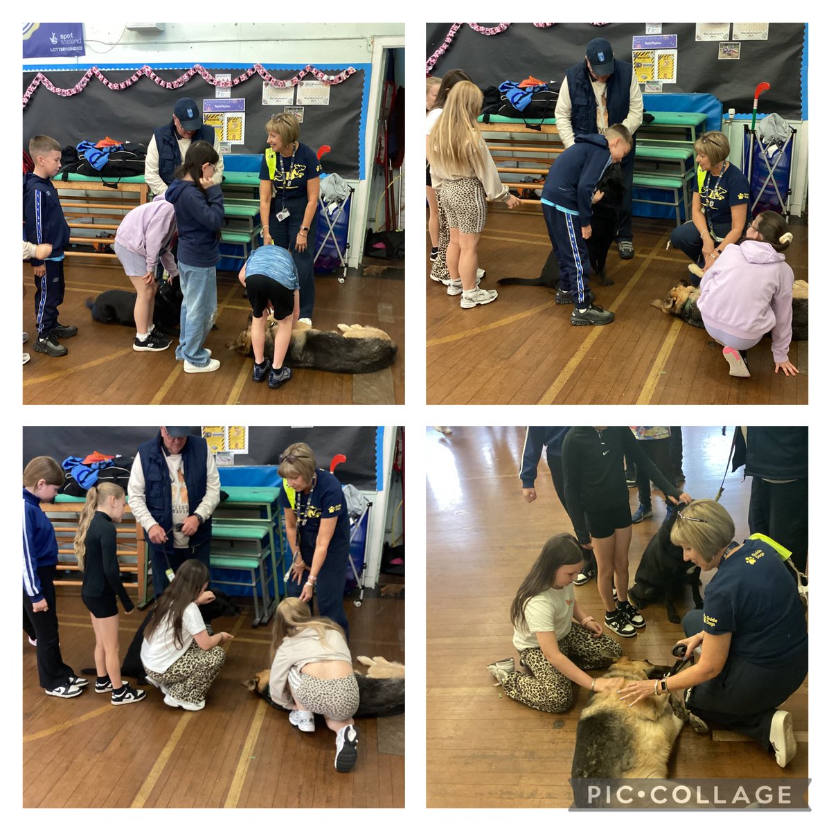 A lovely morning with Arthur and Bumble the guide dogs, we learned so much useful information from the team! 🐶🦮 <a href="/ms_strachanloga/">Mrs Mackinnon</a> <a href="/Logans_Primary/">Logans PS and NC</a>