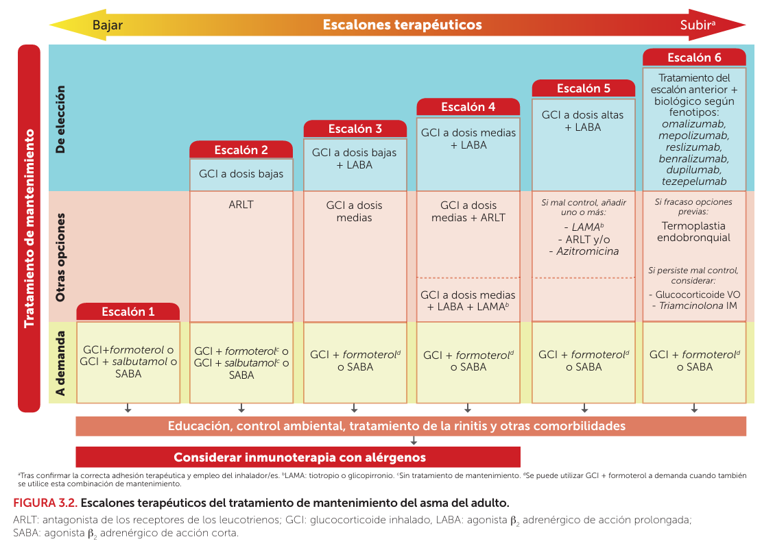Actualización guía GEMA 5.5 - Guía española para el manejo del asma  🫁
gemasma.com