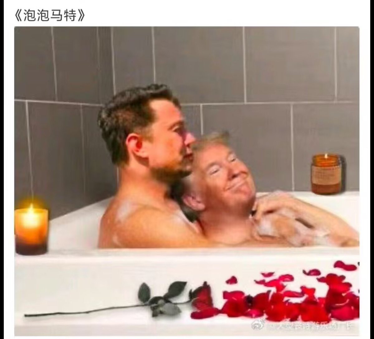 这个角度怎么样 ppmt 泡泡马特 铭文阁 t.me/brc20cn #ppmt #brc20 #ordinals