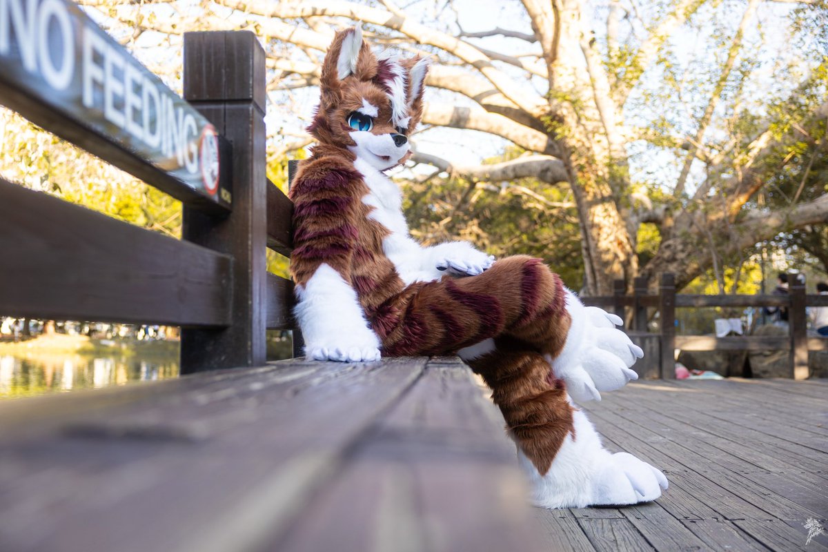 下班累了嗎？坐我旁邊休息一下吧！
📷<a href="/chiuwolf/">Wolf Chiu</a> 
#FursuitEveryday