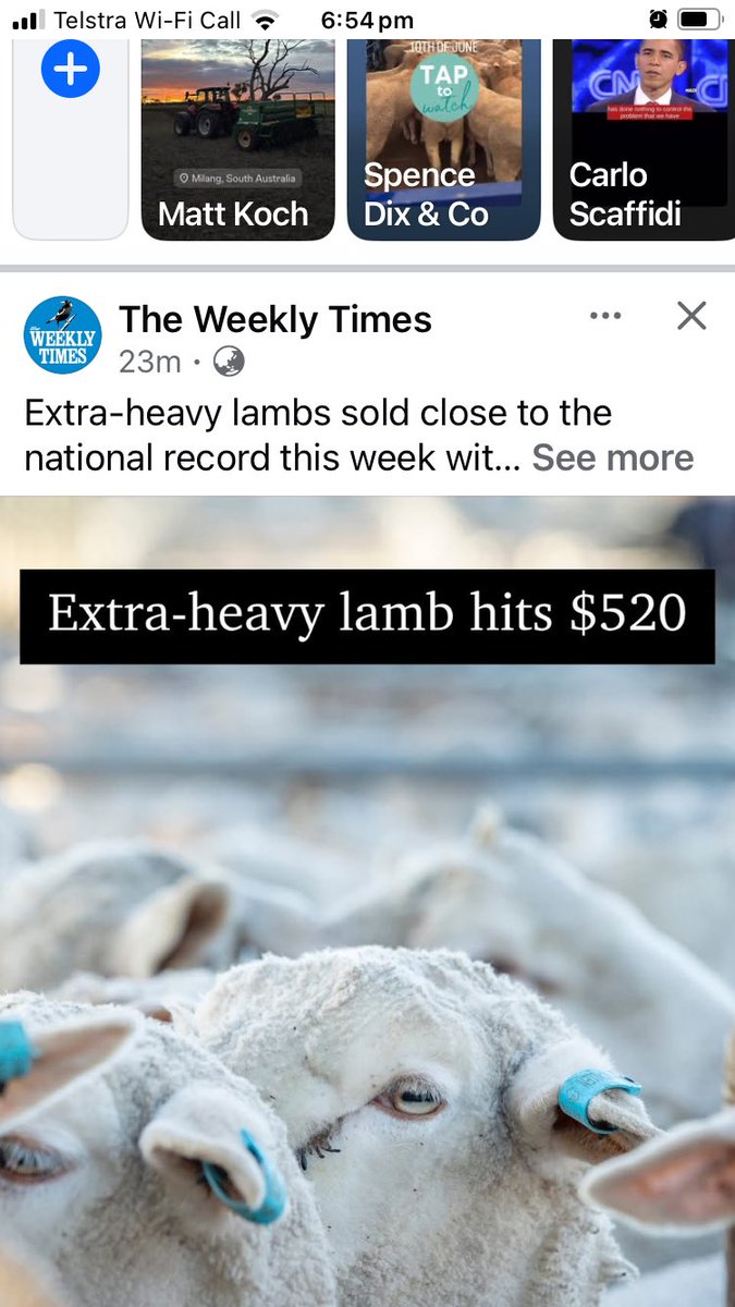 🧢James Stacey tweet media