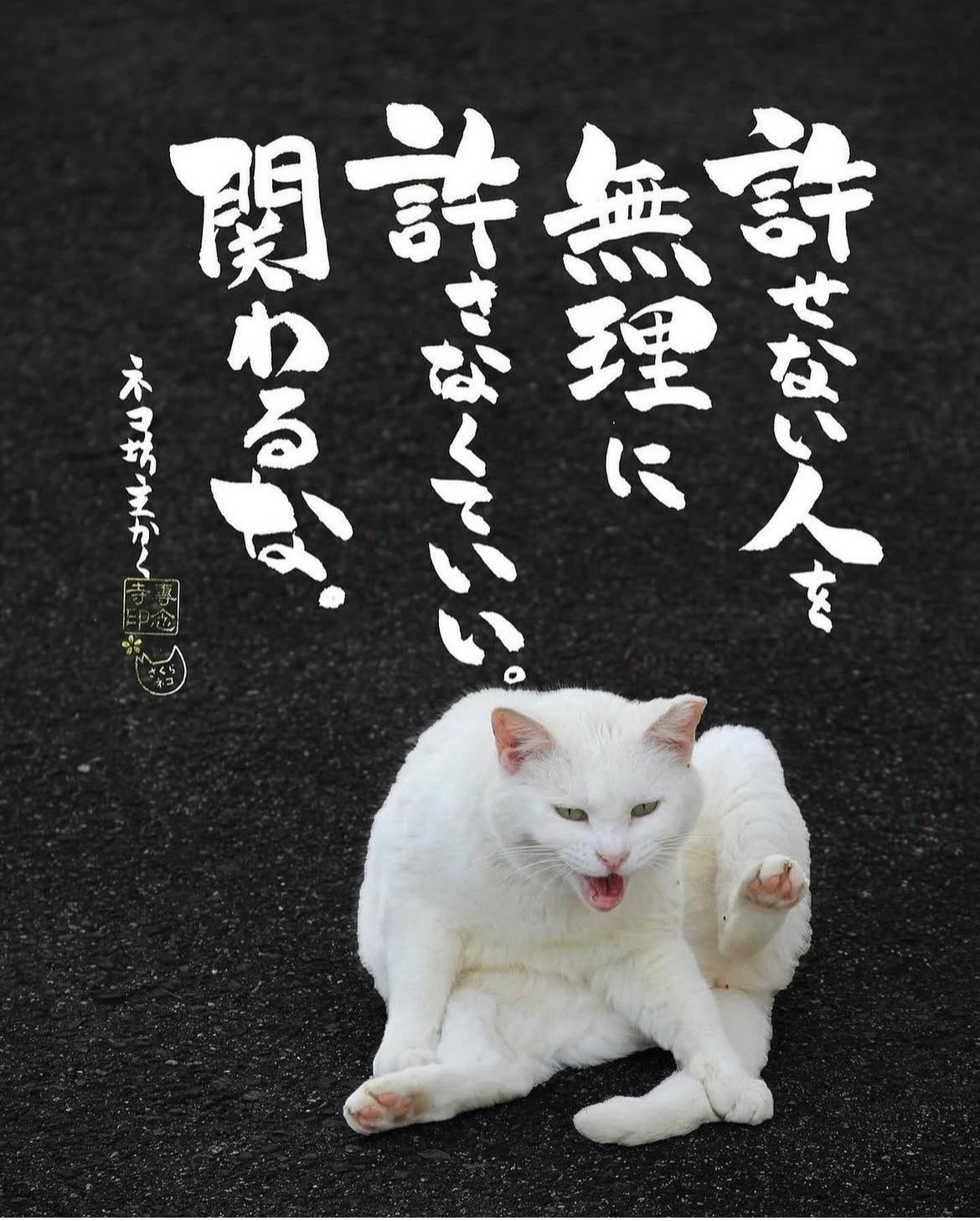 ちびねこ　0128 ちびねこ (@S110128) / X