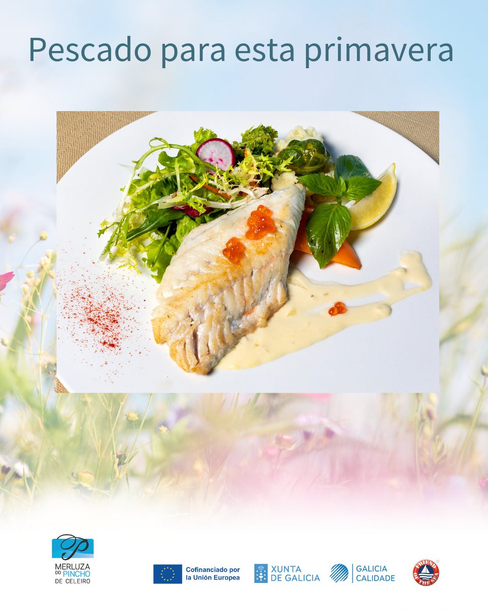En primavera, el cuerpo pide comida ligera y recetas frescas. La merluza es el pescado ideal para esta época. 

#merluzadelpinchodeceleiro