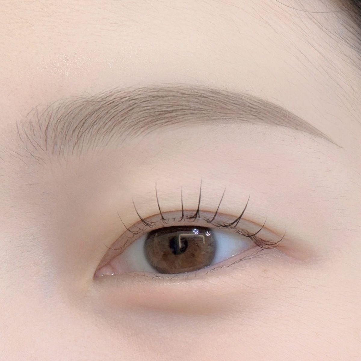 omoochichi's tweet photo. 理想の眉毛✨✨
眉毛のアートメイクする時とか眉サロン行く時に見せるのおすすめ https://t.co/2niBEVVFs0