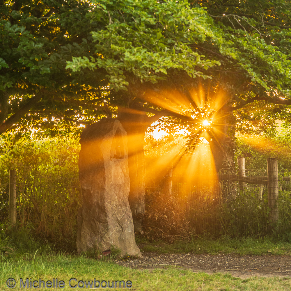 The light shines when you least expect it. 
Photo taken at the bottom of Glastonbury Tor this morning. This is one of the Syrens Way markers between Glastonbury and Wells.