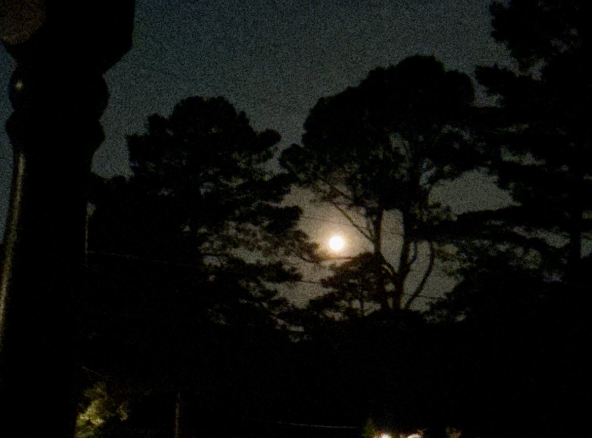Wow the moon is stunning.
My iPad camera just doesn’t show the beauty.