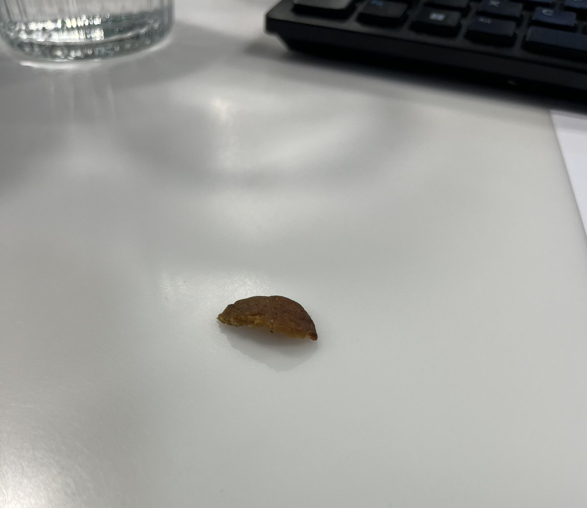 I’m not proud of this, but here is the small slice of doner meat I found in my jacket pocket yesterday after eating a kebab on my walk home on Saturday night. 

Should I try some of this self cured pocket biltong/Turkey jerky???