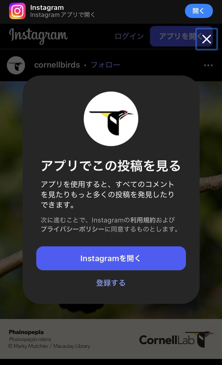 すたぽら 2023 Summer Tour 〜 StarLand Splash!! 〜」アイコンフレーム - すたぽら【公式】, image size:730x1200