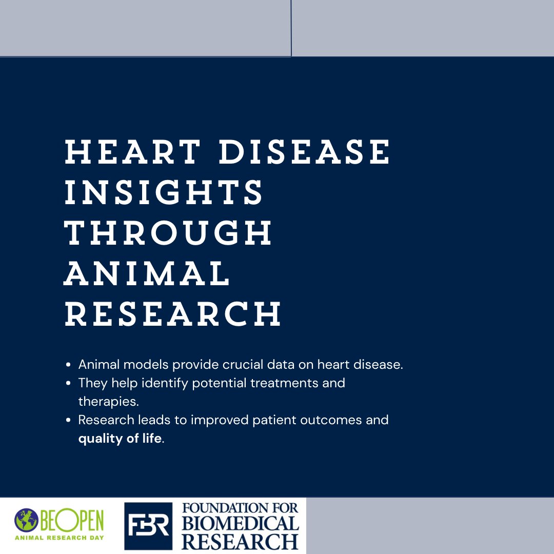 Foundation for Biomedical Research (@fbrorg) on Twitter photo Earlier this month for #BOARD25, we joined voices across the globe to say: ethical animal research drives medical innovation.
Thanks to animal models, we better understand Alzheimer’s, heart disease and more.
Let’s keep science moving forward — together. #AnimalResearch Earlier this month for #BOARD25, we joined voices across the globe to say: ethical animal research drives medical innovation.
Thanks to animal models, we better understand Alzheimer’s, heart disease and more.
Let’s keep science moving forward — together. #AnimalResearch