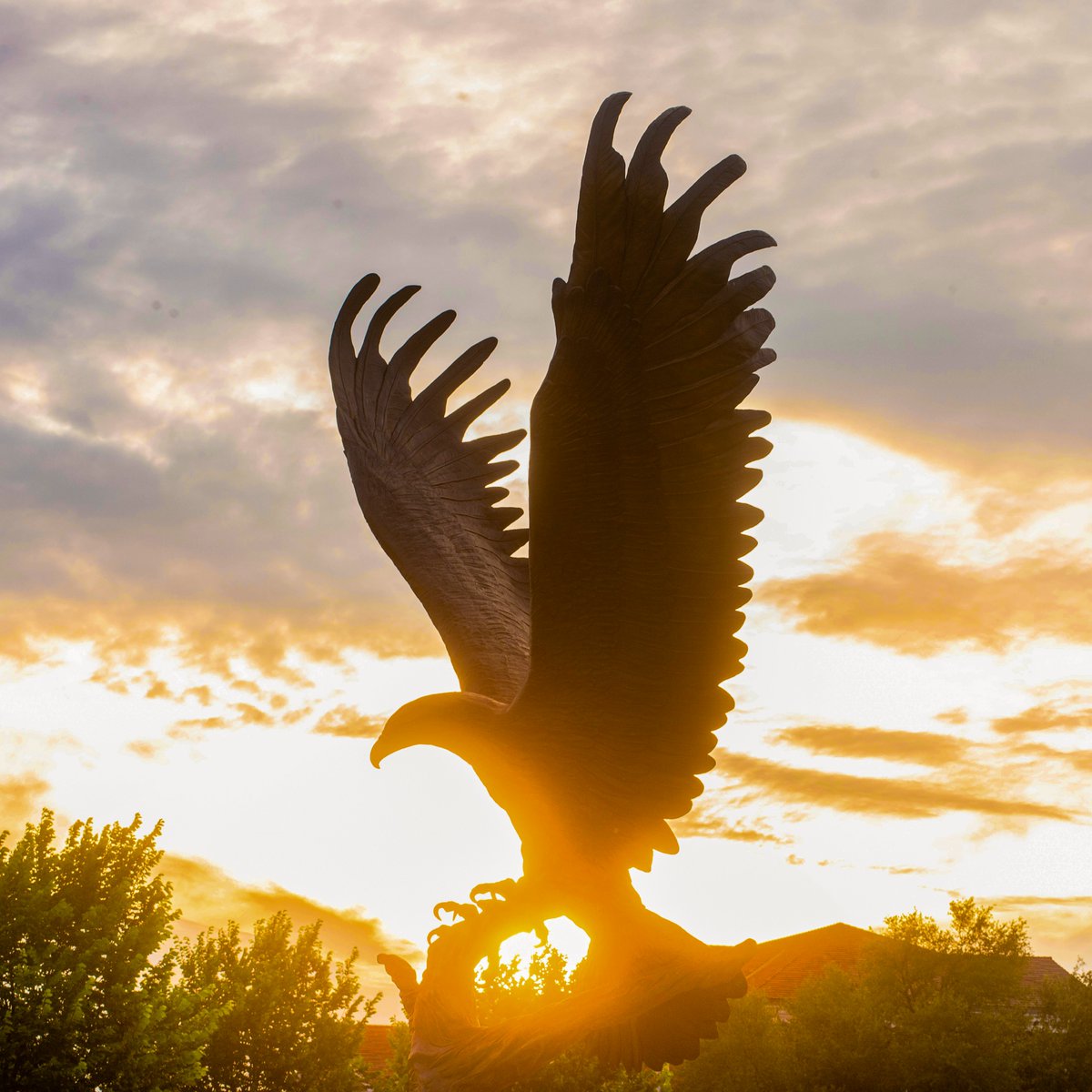 SouthernMiss's tweet image. From our favorites album
